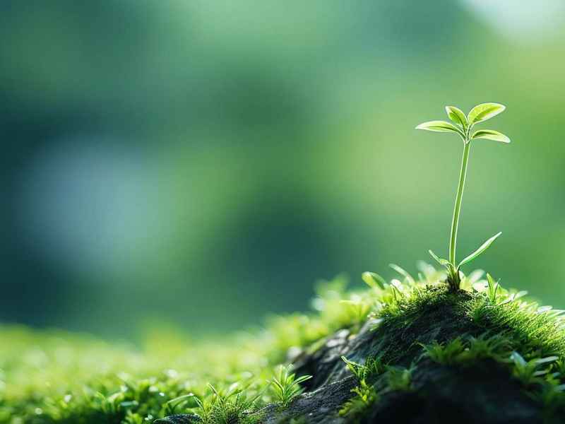 生活让我发现了 生活让我发现了____作文初二 生活让我发现了 生活让我发现了____作文初二