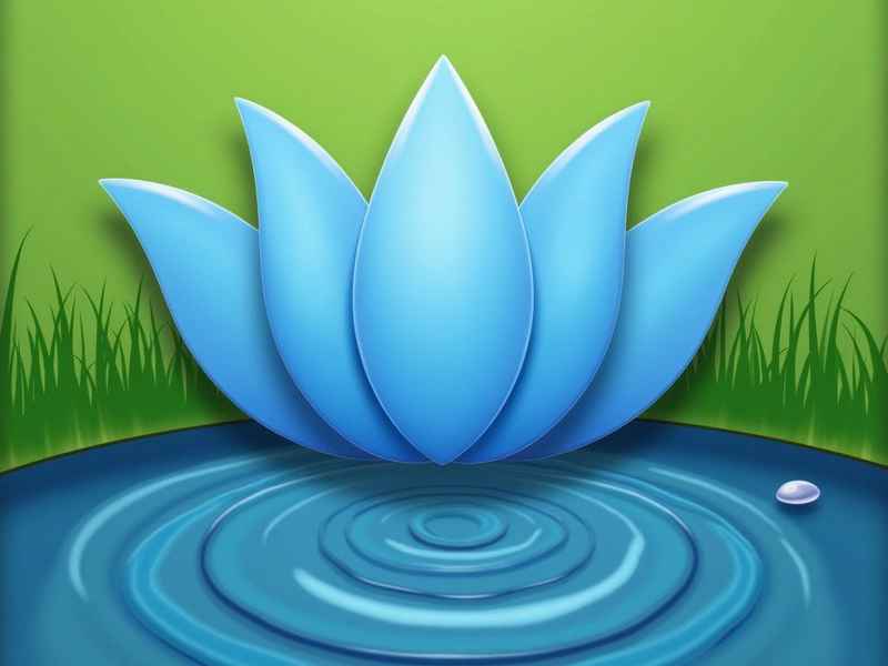 养生活动总结,春季养生活动总结 养生活动总结,春季养生活动总结