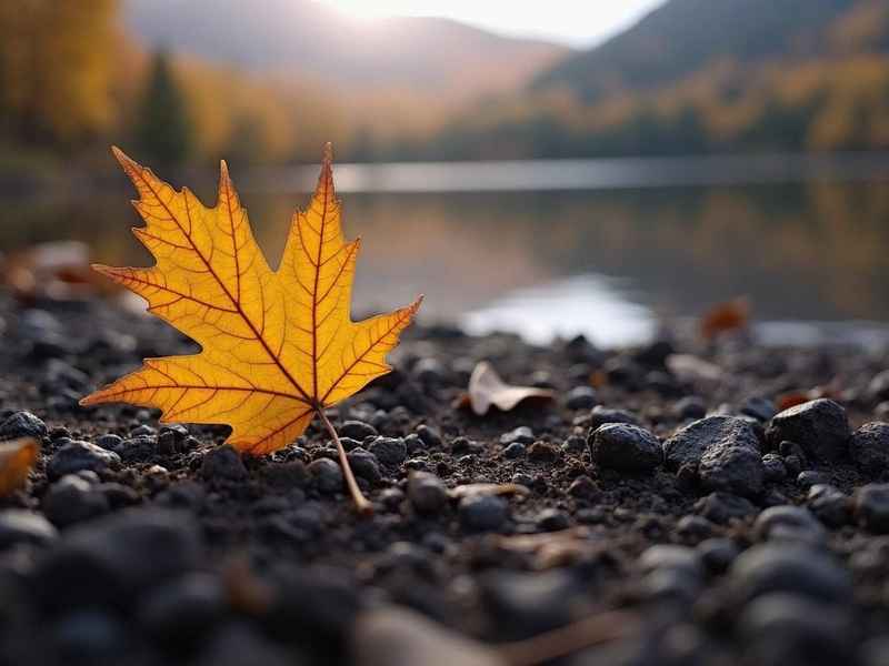 9月生活 - 9月生活感悟 9月生活 - 9月生活感悟