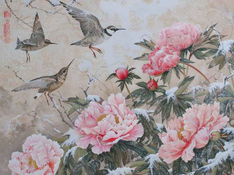 淑娟近况 淑娟画家作品 淑娟近况 淑娟画家作品