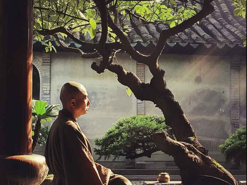 生活即禅的感悟、生活感悟禅语经典句子 生活即禅的感悟、生活感悟禅语经典句子