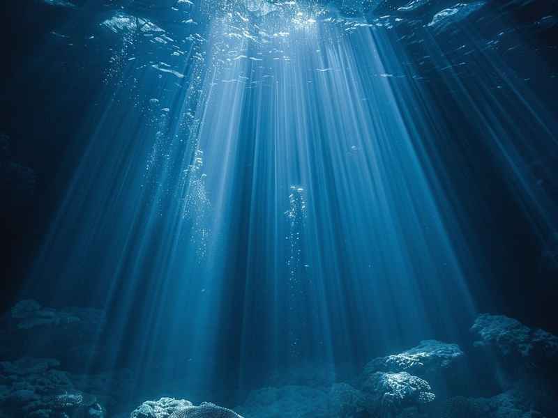 梦里在海底,梦见在海底深处 梦里在海底,梦见在海底深处