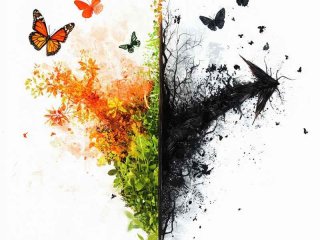生活中的对立统一现象、生活中的对立统一现象例子