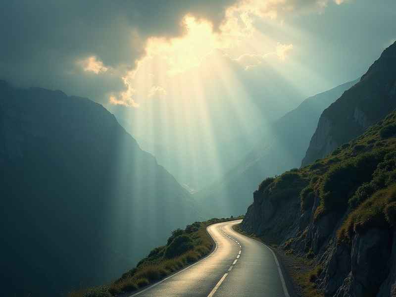 人生旅程的感悟、人生旅程的感悟怎么写