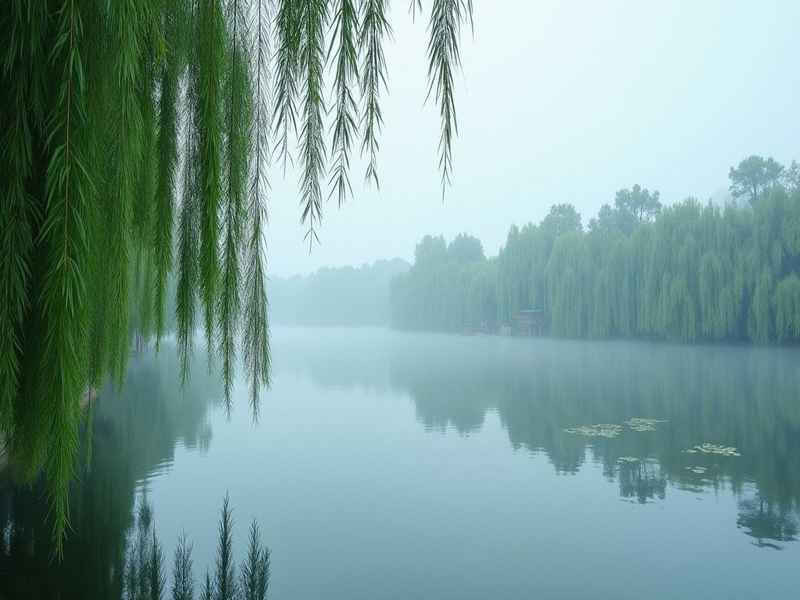 清静的拼音(清静的拼音读音) 清静的拼音(清静的拼音读音)