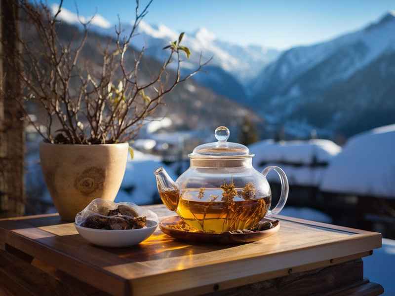 茶与健康的看法(谈谈对茶与健康的理解) 茶与健康的看法(谈谈对茶与健康的理解)