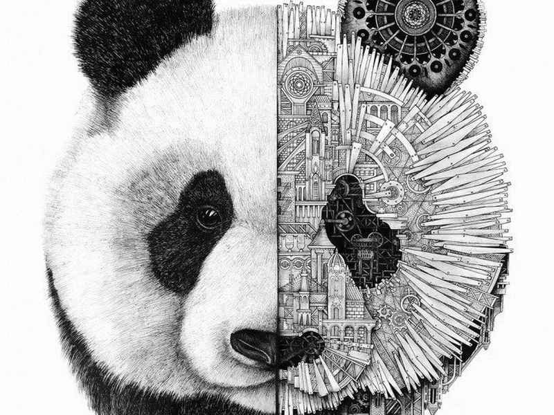 《熊猫的后现代生活》、《熊猫的后现代生活》作者是谁 《熊猫的后现代生活》、《熊猫的后现代生活》作者是谁