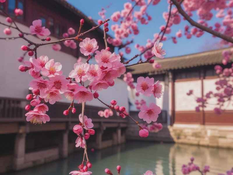 生活麻辣烫且待花开（生活麻辣烫冷暖人生且待花开）