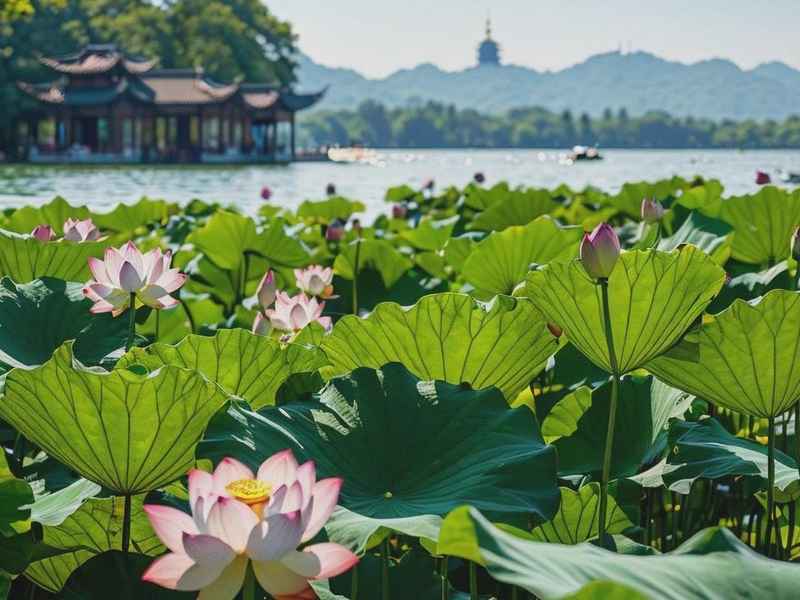 在杭州生活是怎么样的感觉、生活在杭州是什么样的感觉 在杭州生活是怎么样的感觉、生活在杭州是什么样的感觉
