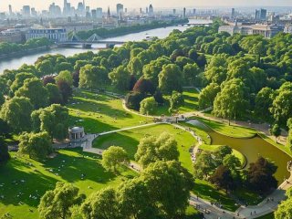 蒲公英的生活环境周围有树吗 - 蒲公英的生活环境周围有树吗图片