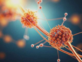 hpv能正常和家人一起生活吗 - hpv能正常和家人一起生活吗会传染吗