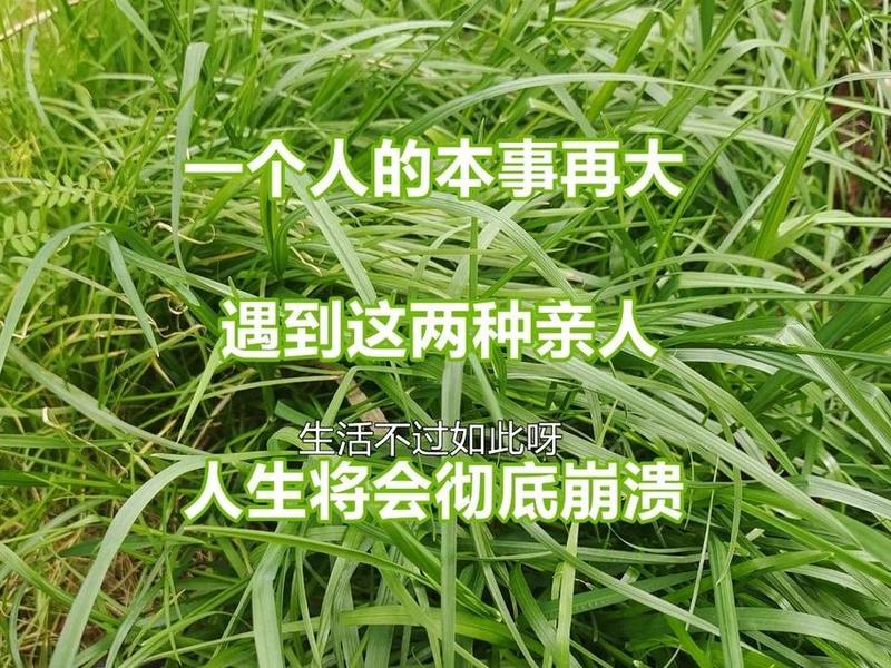 人际关系崩塌怎么处理(人际关系崩塌怎么处理最有效) 人际关系崩塌怎么处理(人际关系崩塌怎么处理最有效)