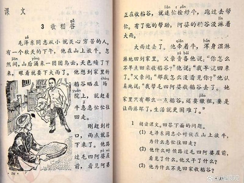 85后社会课本、80后社会课本 85后社会课本、80后社会课本