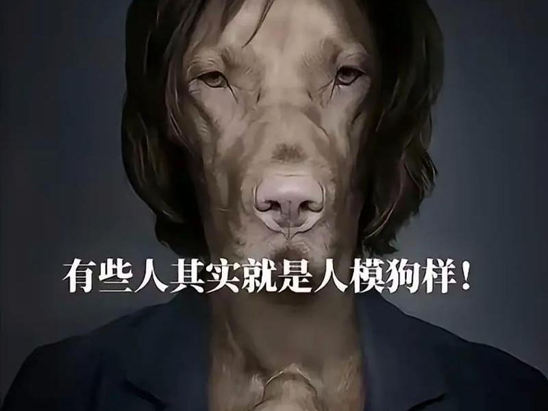 垃圾话是什么意思 垃圾话是什么意思网络用语 垃圾话是什么意思 垃圾话是什么意思网络用语