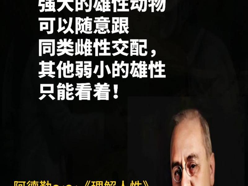 处理人际关系的好书 - 讲处理人际关系的好书 处理人际关系的好书 - 讲处理人际关系的好书