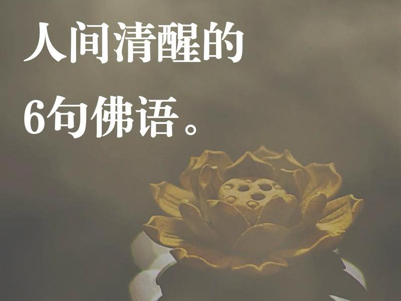 佛系看待世界，佛系看待世界的句子