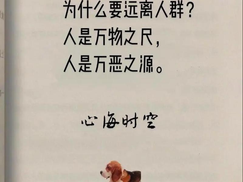 人到中年远离喧闹，人到中年远离哪三类人