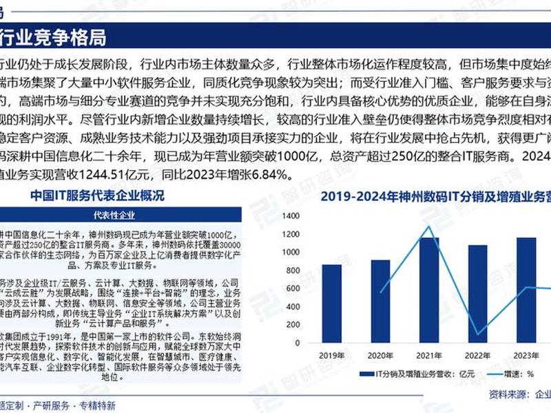it企业现状调查报告、it企业现状调查报告范文 it企业现状调查报告、it企业现状调查报告范文