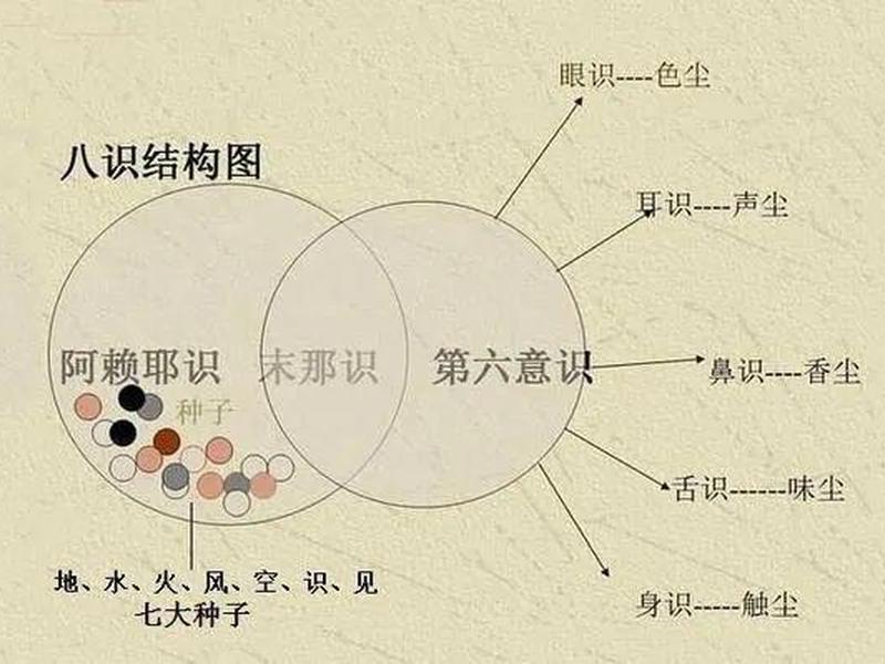 八个识的关系、八识的关系是怎样的 八个识的关系、八识的关系是怎样的