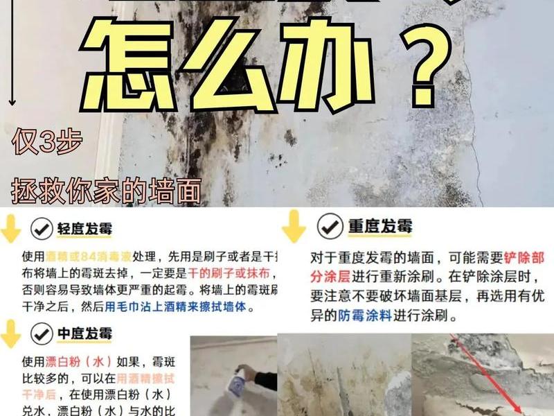 墙壁发霉怎么处理不会再发霉 - 墙壁发霉怎么处理不会再发霉呢 墙壁发霉怎么处理不会再发霉 - 墙壁发霉怎么处理不会再发霉呢