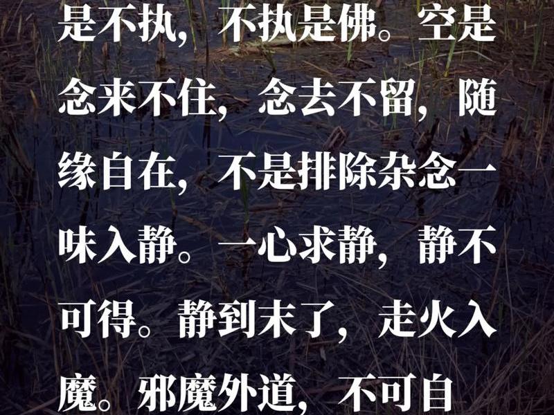 佛看人生的禅语 - 看透人生的经典佛家禅语 佛看人生的禅语 - 看透人生的经典佛家禅语
