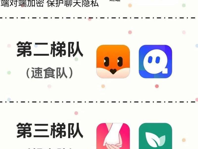 公共网络新社交，公共网络新社交app下载