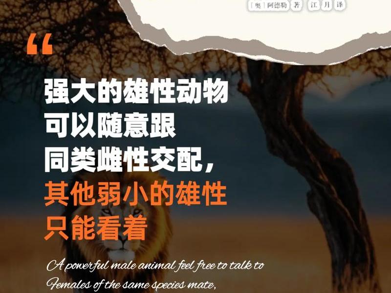 大学的人际关系很迷茫(大学的人际关系很迷茫怎么办) 大学的人际关系很迷茫(大学的人际关系很迷茫怎么办)