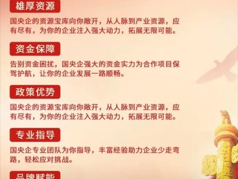 国有企业关系地位的巩固（国有企业关系地位的巩固和发展）