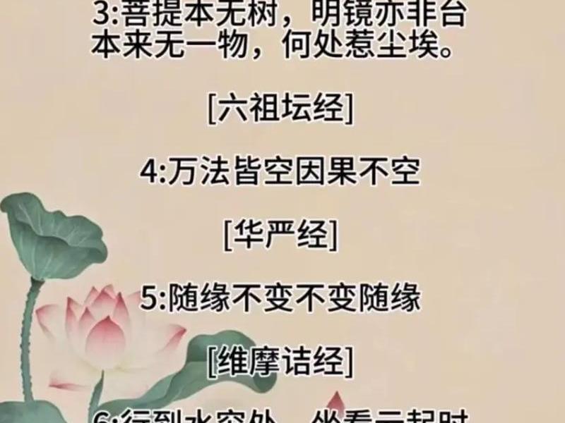 佛看因果神看什么,佛教怎么看因果 佛看因果神看什么,佛教怎么看因果