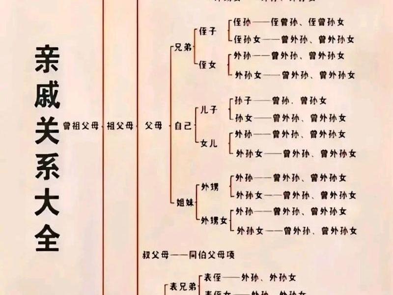 亲戚关系称呼图解高清 - 亲戚关系称呼图解高清图片大全 亲戚关系称呼图解高清 - 亲戚关系称呼图解高清图片大全