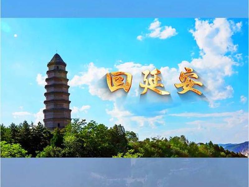 回延安体现了延安人什么特点（回延安体现了延安人什么特点和精神）