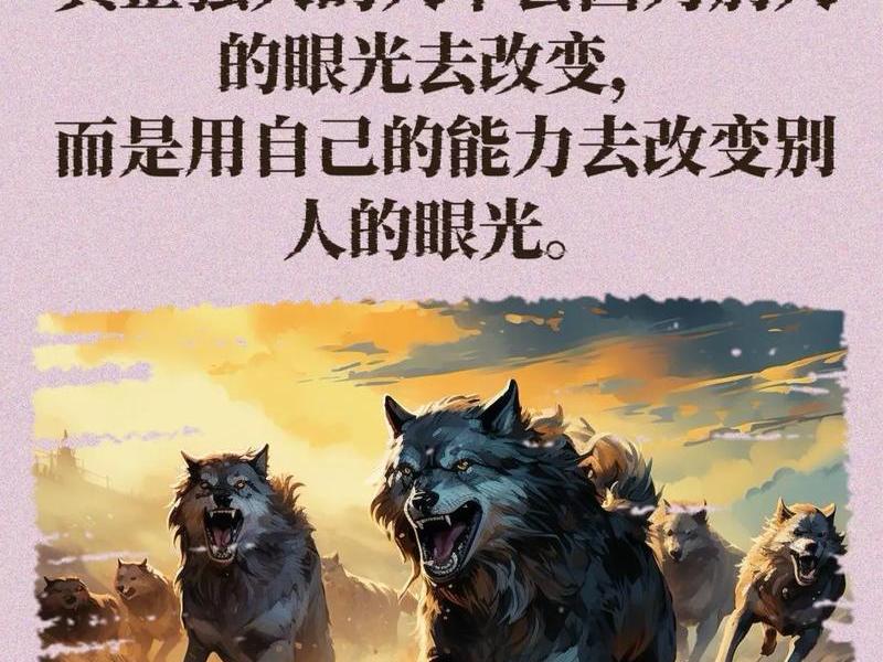 《狼道》人际关系原则,狼道人性的生存法则阅读 《狼道》人际关系原则,狼道人性的生存法则阅读