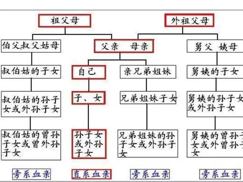 亲人血缘关系比例 亲人血缘关系比例是多少