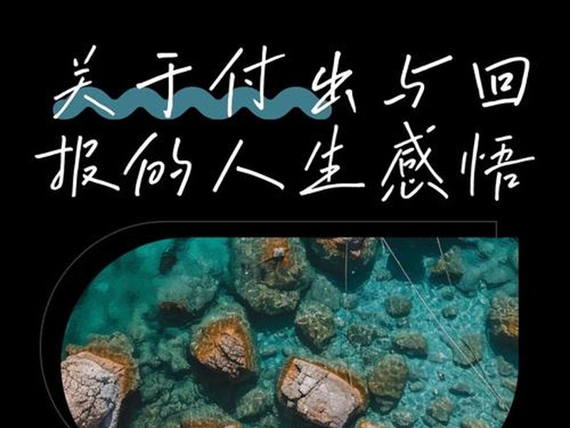 付出跟索取;付出和索取的说说 付出跟索取;付出和索取的说说
