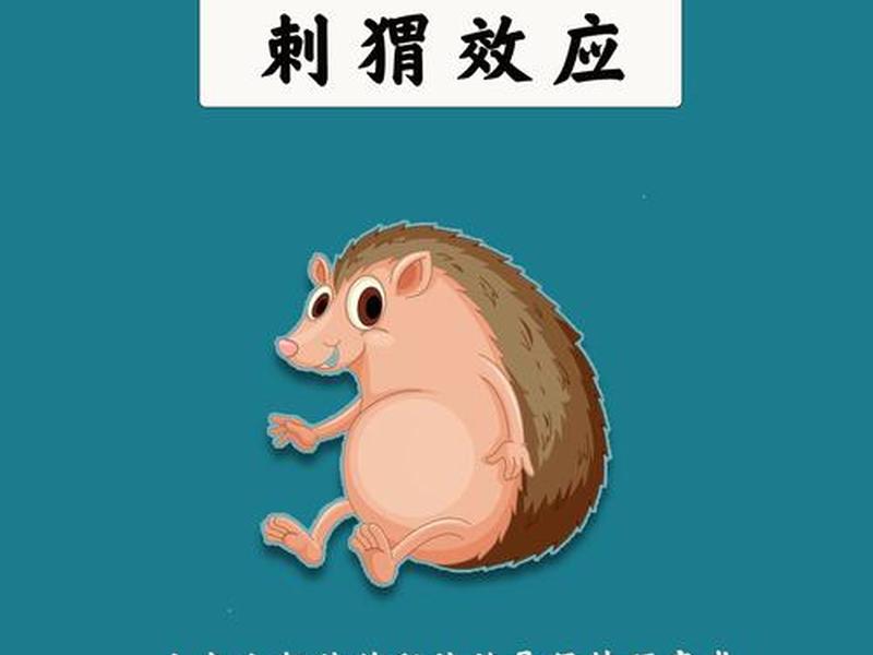 刺猬效应管理学、刺猬效应心理学 刺猬效应管理学、刺猬效应心理学