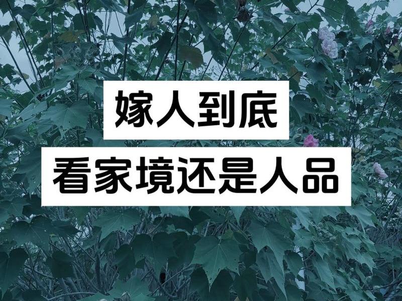 从家人相处看人品(从家人相处看人品怎么形容) 从家人相处看人品(从家人相处看人品怎么形容)