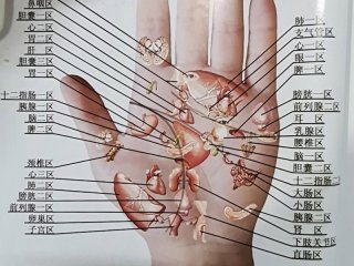 人的手掌对应的脏腑 人的手掌对应的脏腑图