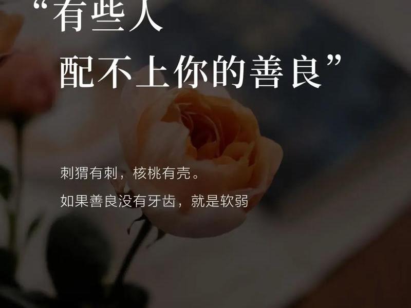 付出对真正的人际关系意义，付出对真正的人际关系意义的理解