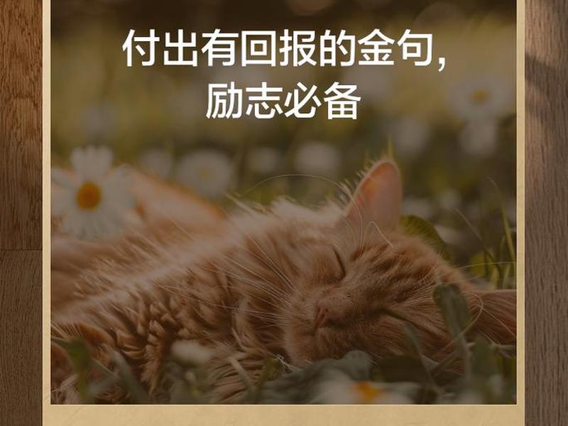 别人先付出我才会付出;别人先付出我才会付出的成语 别人先付出我才会付出;别人先付出我才会付出的成语