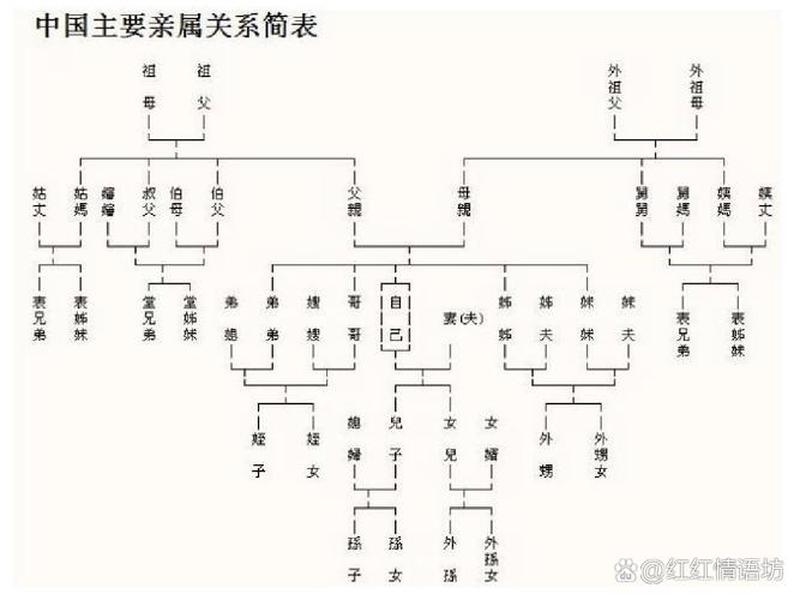 女婿人际关系简介范文大全，女婿人际关系简介范文大全图片