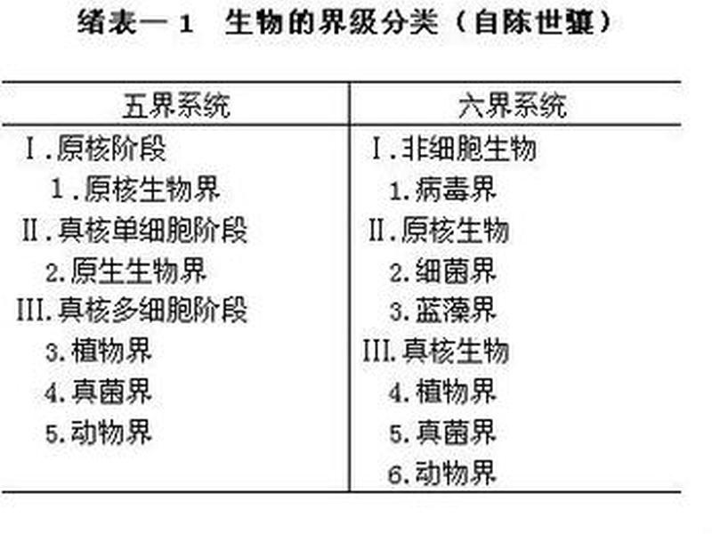 初级群体的重要类型 - 初级群体的重要类型有哪些 初级群体的重要类型 - 初级群体的重要类型有哪些