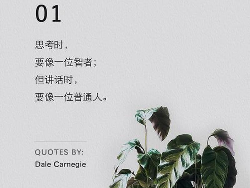 卡耐基一个女人最大的智慧 - 卡耐基一个女人最大的自律