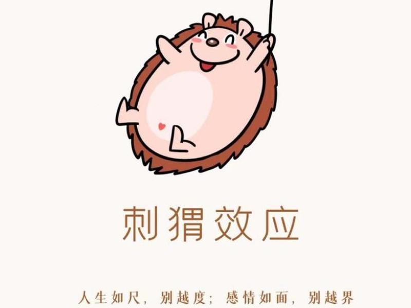 刺猬效应上下级关系（刺猬效应强调的是人际交往中的什么）