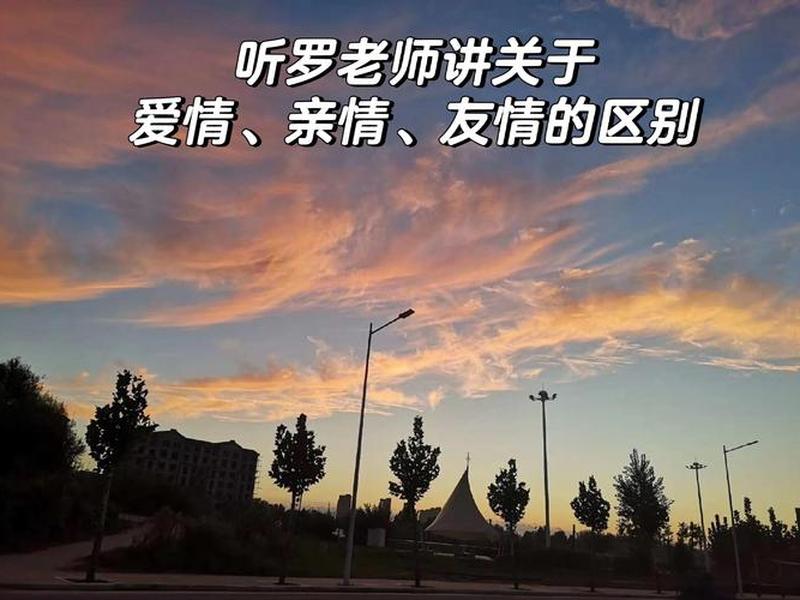 亲子关系和友谊关系的区别（亲子关系和友谊关系的区别是什么）