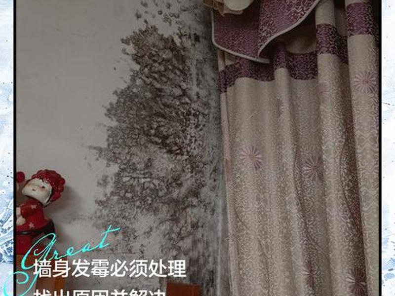 墙壁发霉怎么处理人际关系；墙壁发霉怎么处理小巧