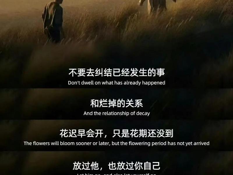 不用去纠结任何关系、不用去纠结任何关系的成语 不用去纠结任何关系、不用去纠结任何关系的成语