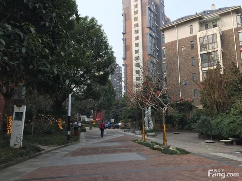 南湖 南湖