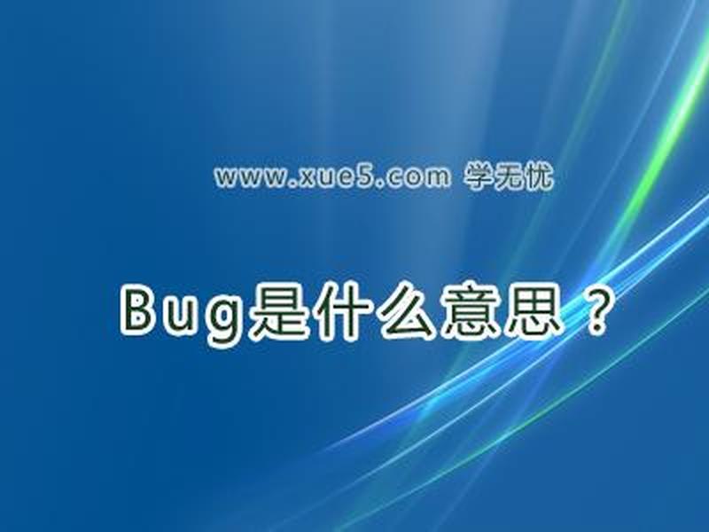 bug的本质是什么、bug的本质是什么意思