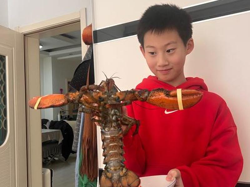 大龙虾怎么操作(大龙虾怎么操作视频) 大龙虾怎么操作(大龙虾怎么操作视频)