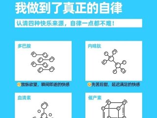 人到中年远离多巴胺靠近内啡肽、人到中年远离多巴胺靠近内啡肽的意思